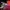 Jessica et Roger Rabbit – Diorama résine adulte cartoon de collection