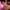Jessica et Roger Rabbit – Diorama résine adulte cartoon de collection