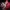 Jessica et Roger Rabbit – Diorama résine adulte cartoon de collection